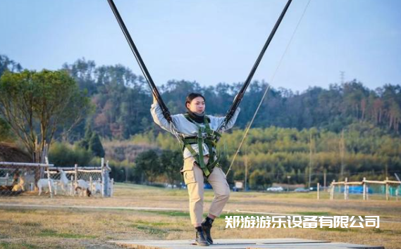 適合農(nóng)莊的刺激游樂設(shè)備合集！